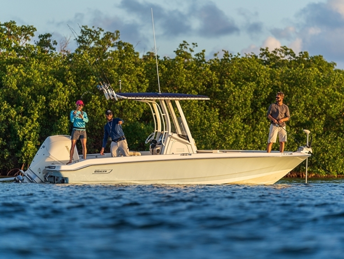 foto: 5 Boston Whaler 220 Dauntless