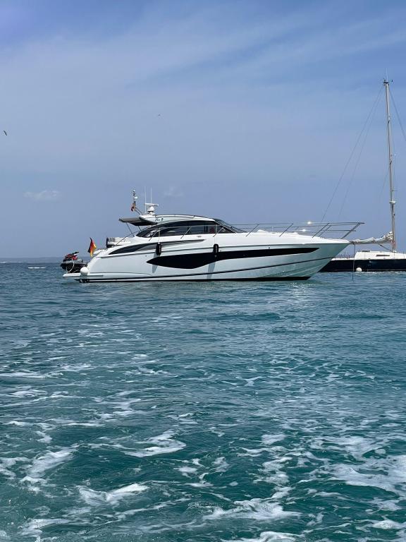 foto: 7 Princess  V50 incl.Williams 325