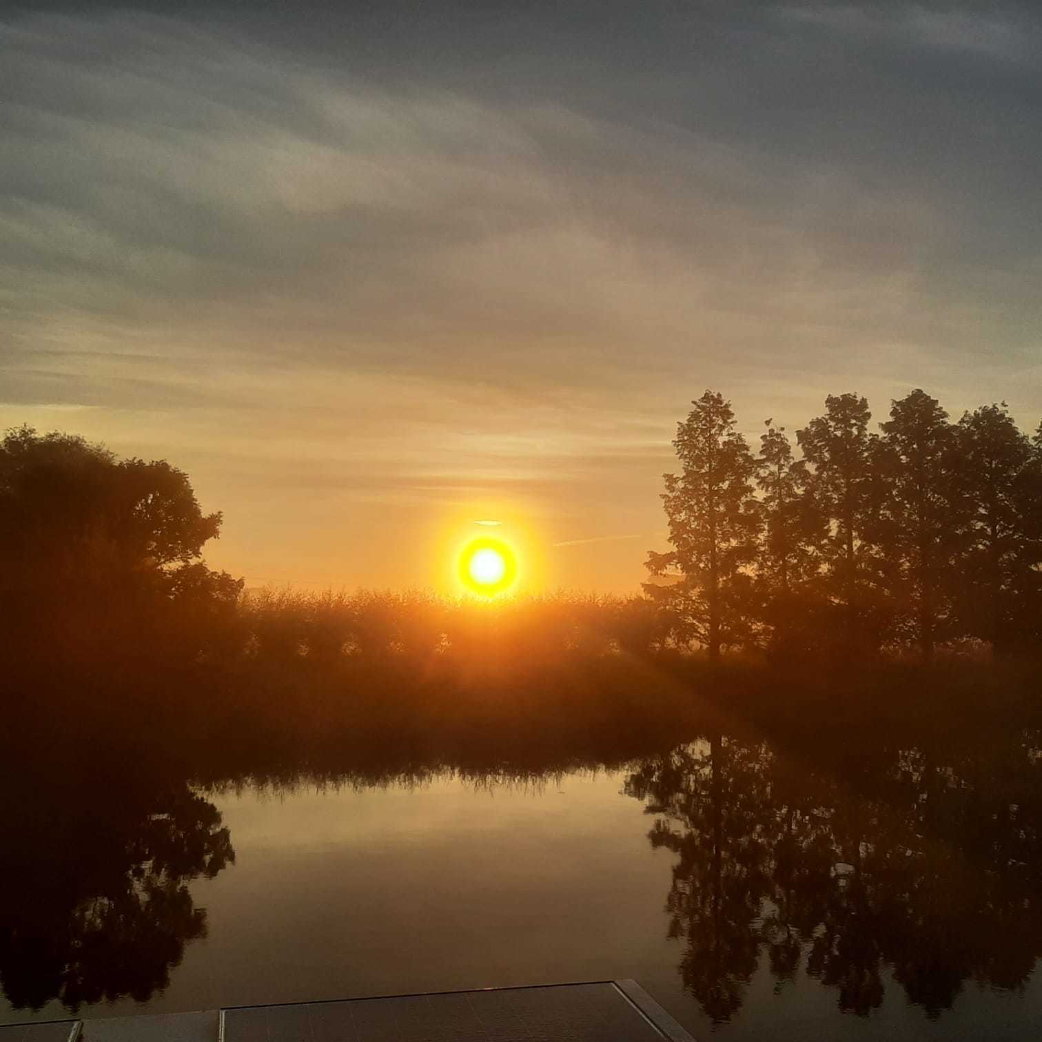 foto: 6 Campi 400 Per Direct Irnsum Ligplaats (Houseboat)