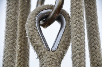 foto: 5 Platbodem Melkschouw