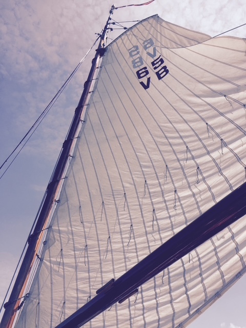 foto: 4 Vollenhovense Bol 9.75