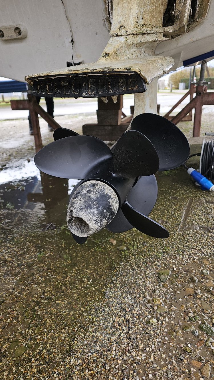 foto: 11 Gobbi 245 Cabin