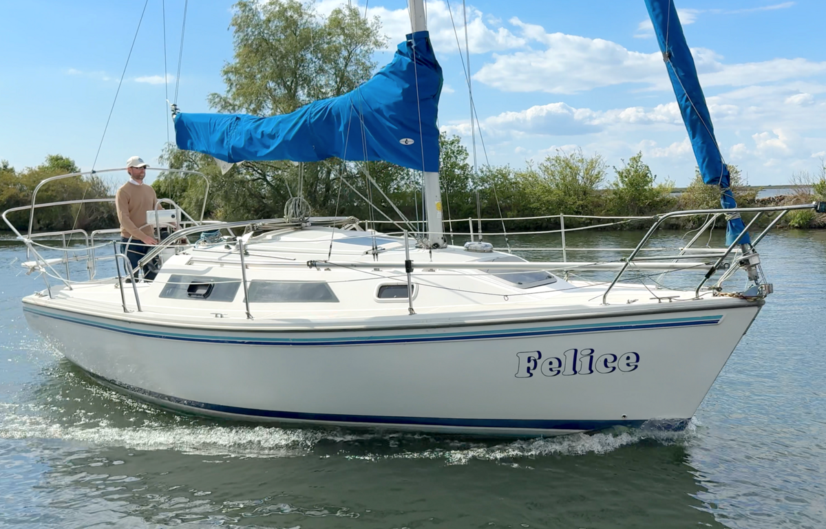 Catalina  270