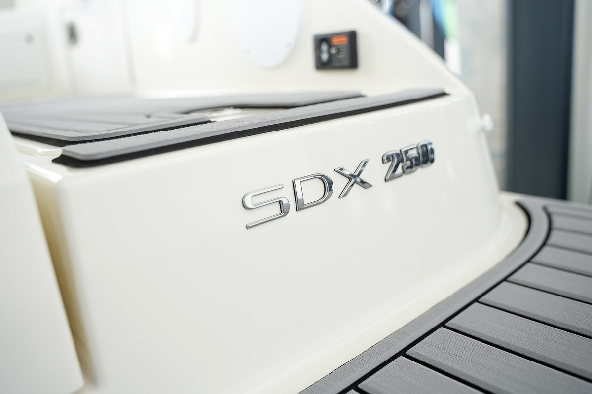 foto: 24 Sea Ray SDX 250