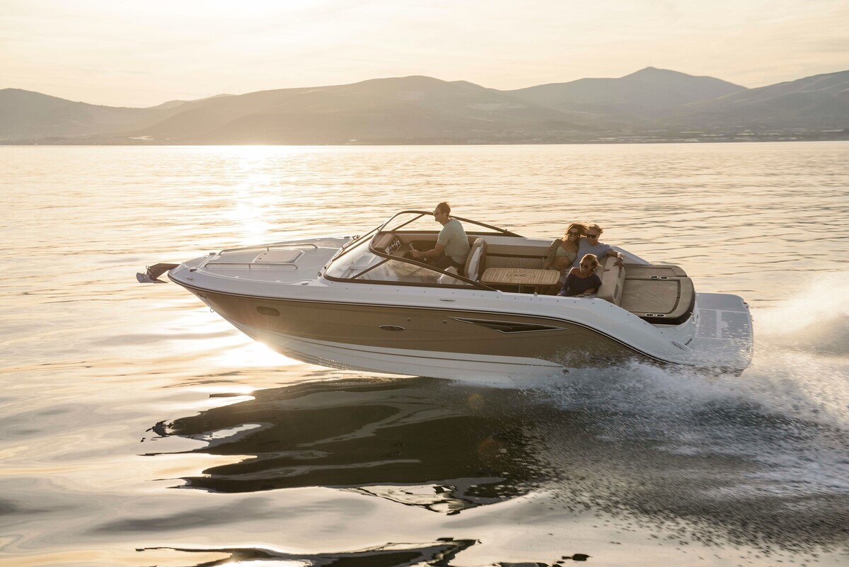 foto: 10 Sea Ray Sun Sport 250
