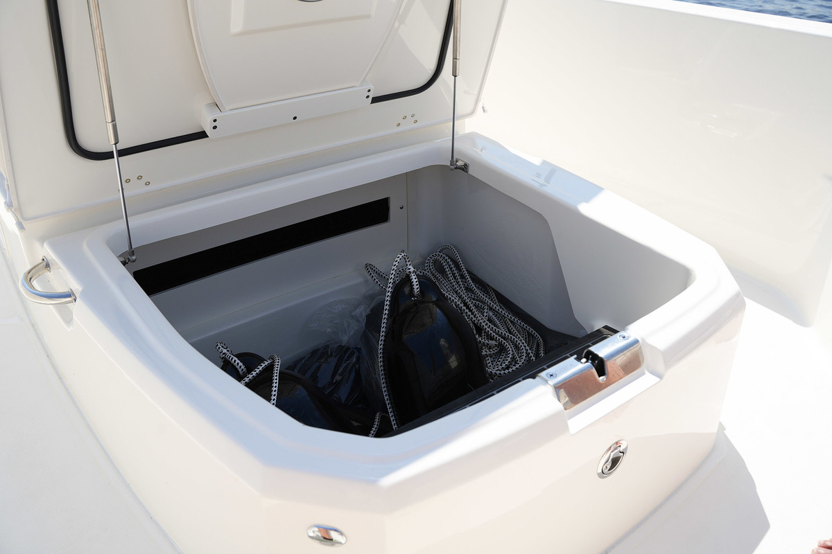 foto: 5 Boston Whaler 250 Dauntless