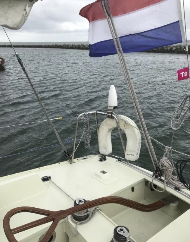 foto: 4 Kolibrie  900