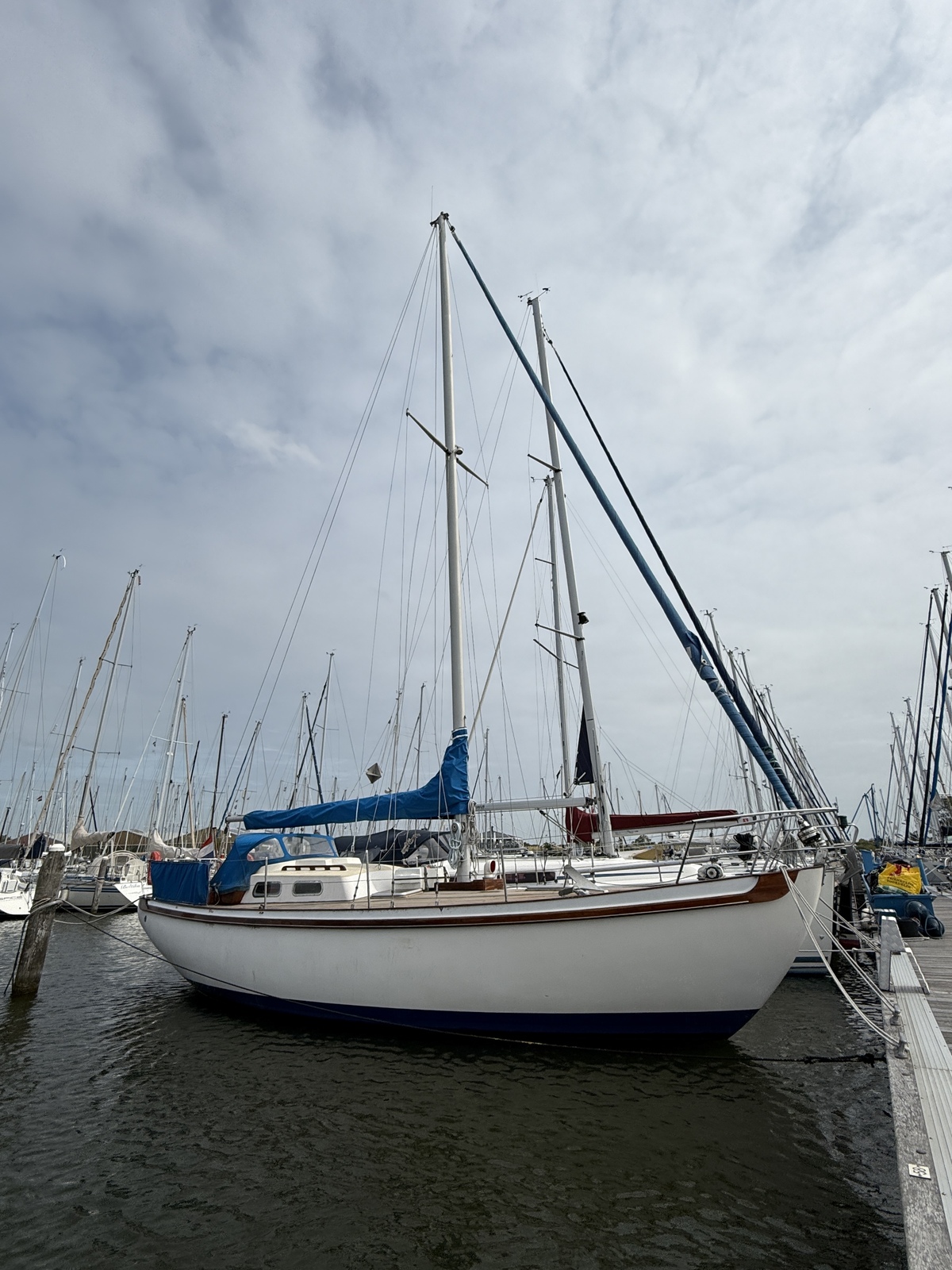 foto: 6 Tradewind 33