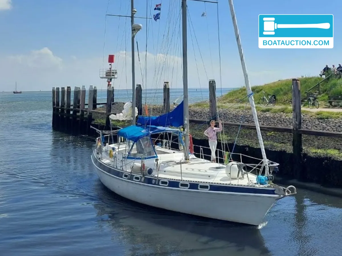 foto: 7 Morgan Out Island 41