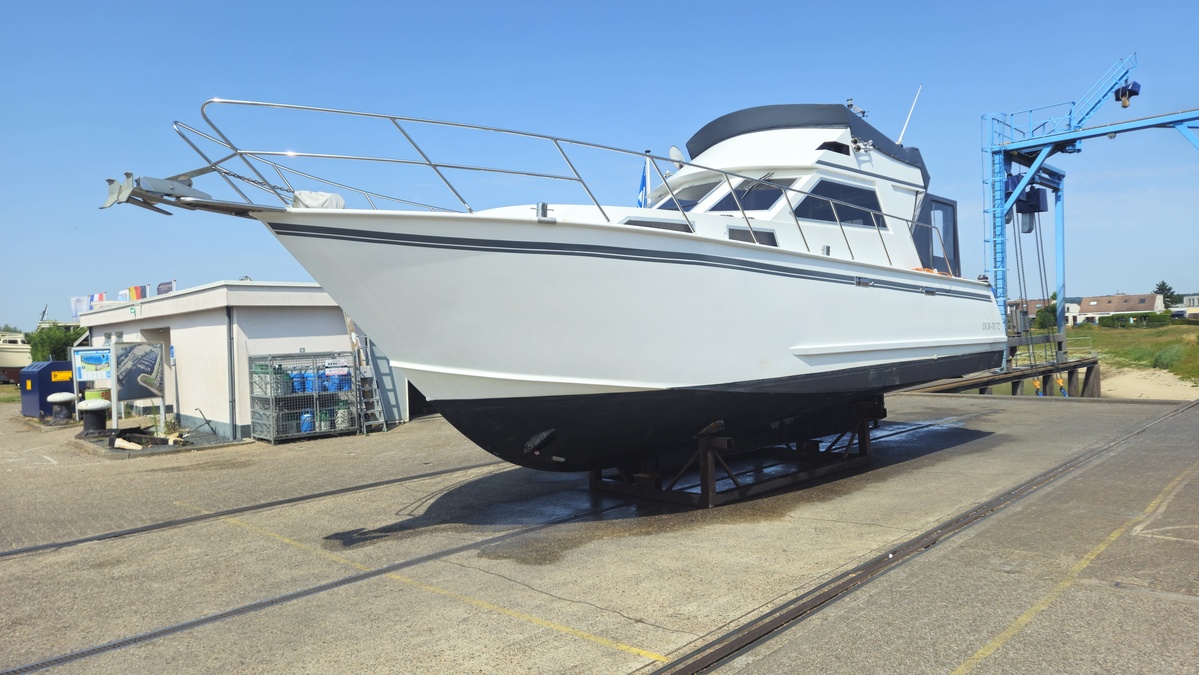 foto: 6 Condor 105 Fly