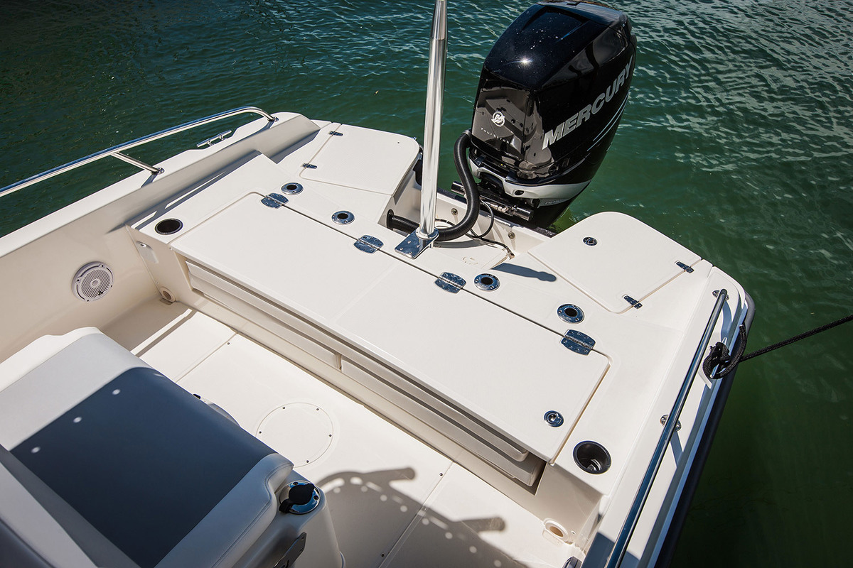 foto: 5 Boston Whaler 250 Dauntless
