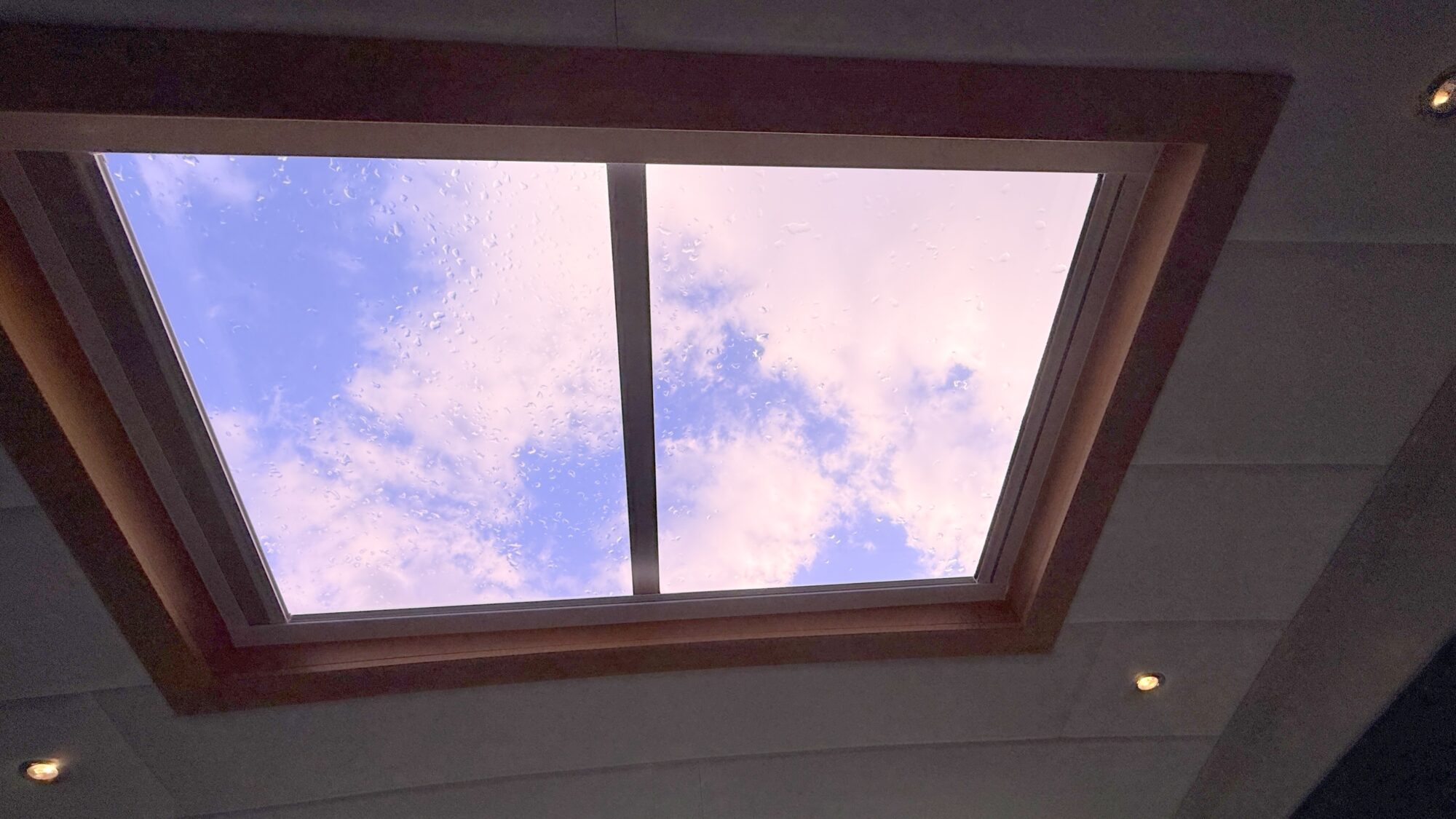 foto: 16 Van der Heijden Van der Heijden 18.00 Dynamic De Luxe VS