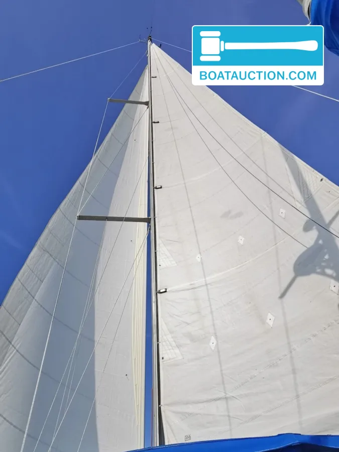 foto: 8 Morgan Out Island 41