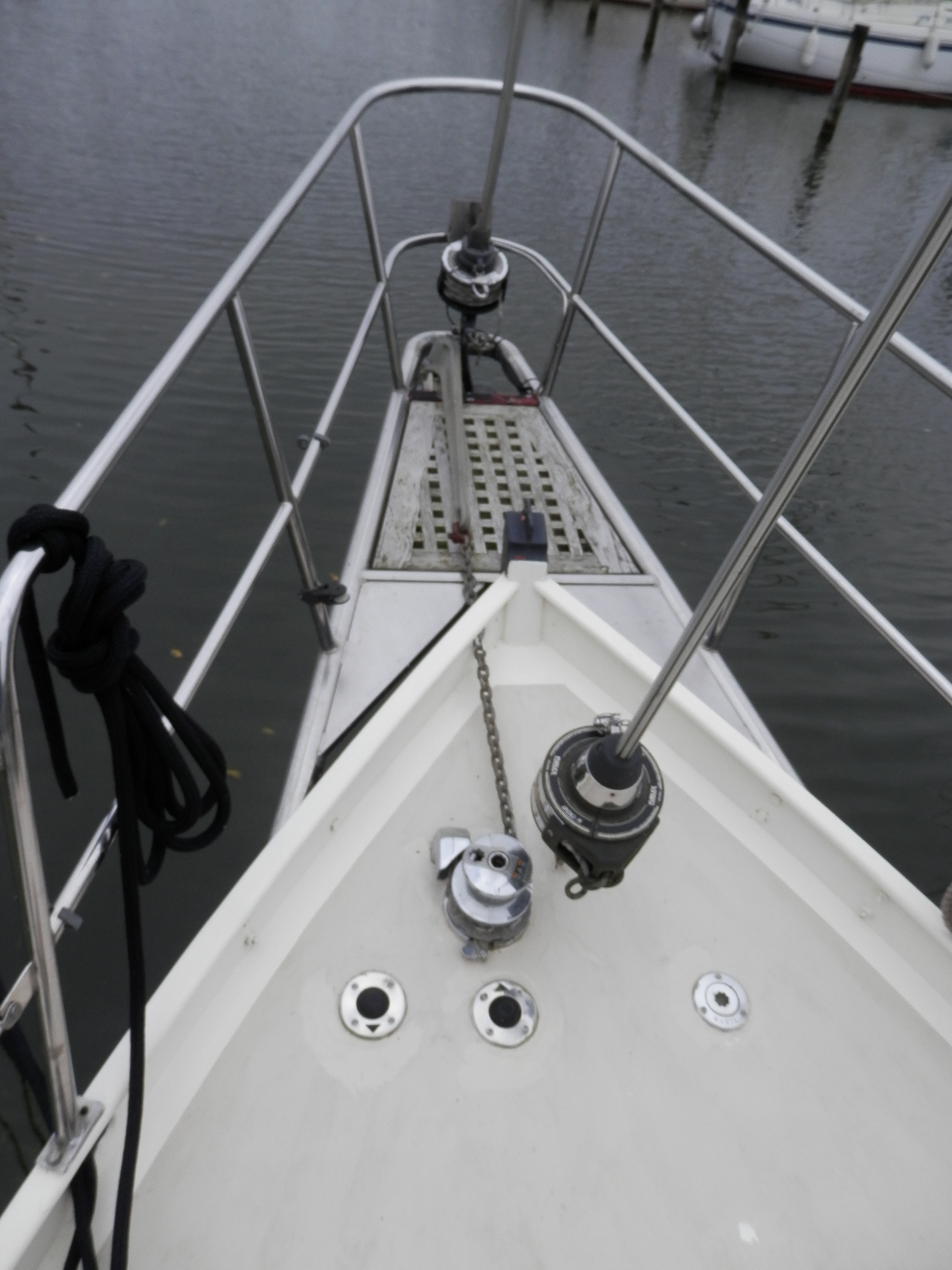 foto: 8 Danish Rose 31