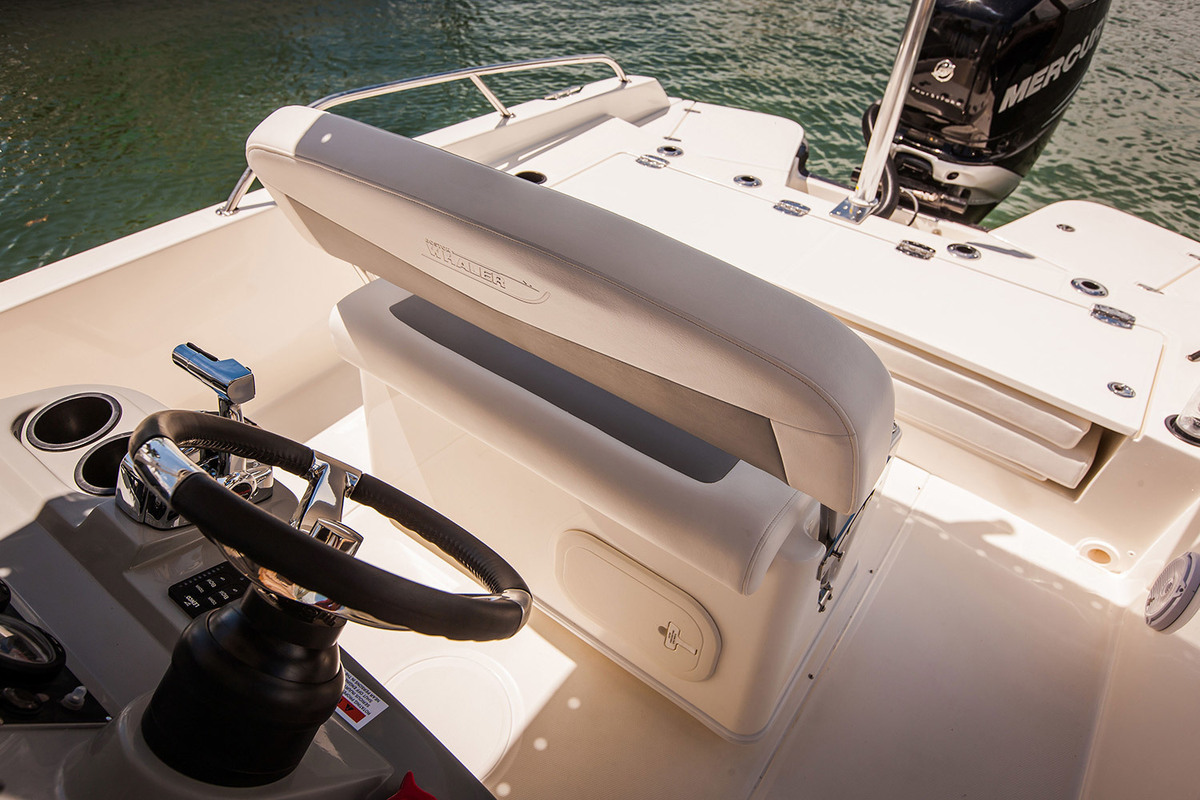 foto: 6 Boston Whaler 250 Dauntless