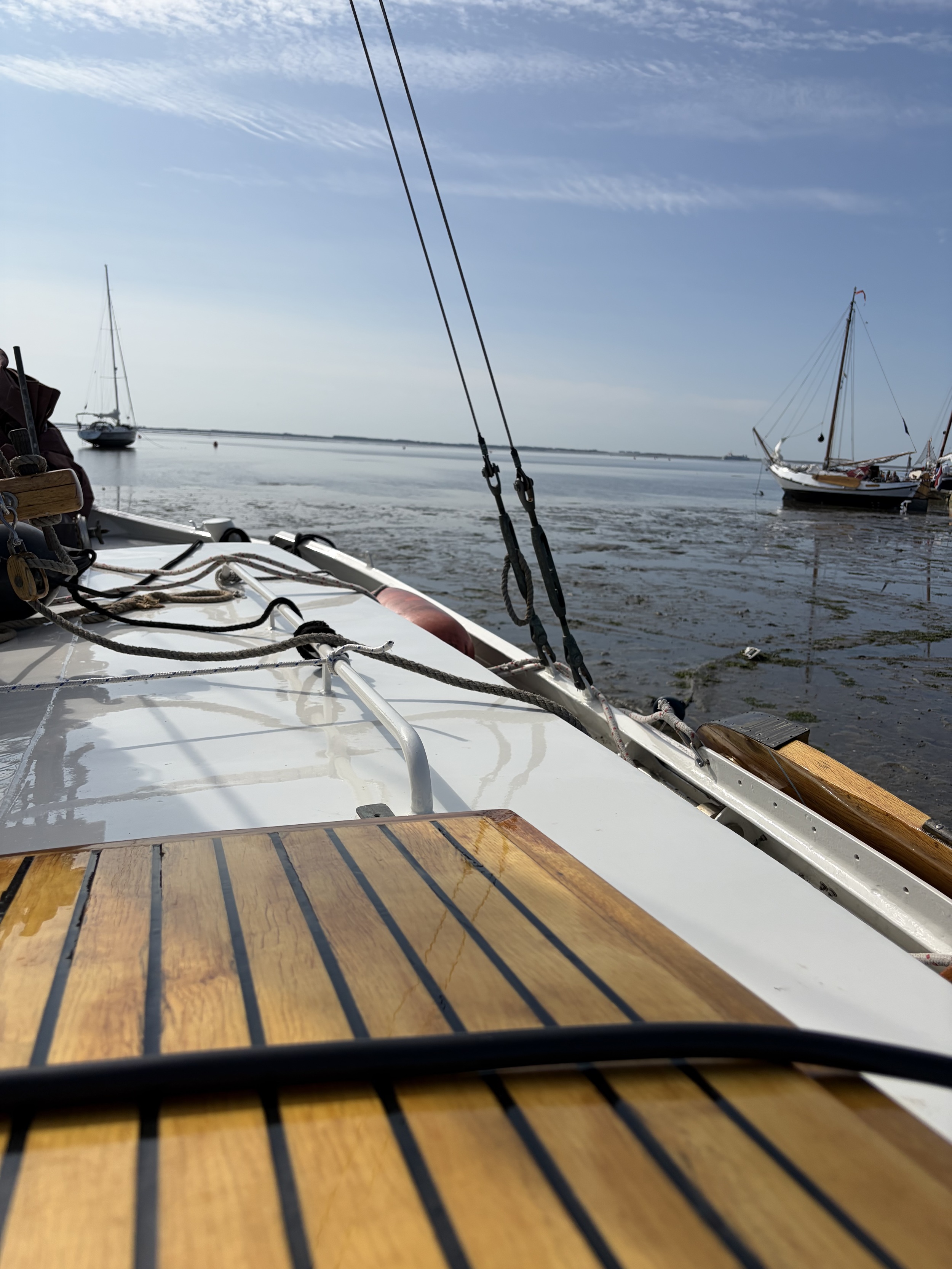 foto: 6 Zeeschouw Boomsma 8.50