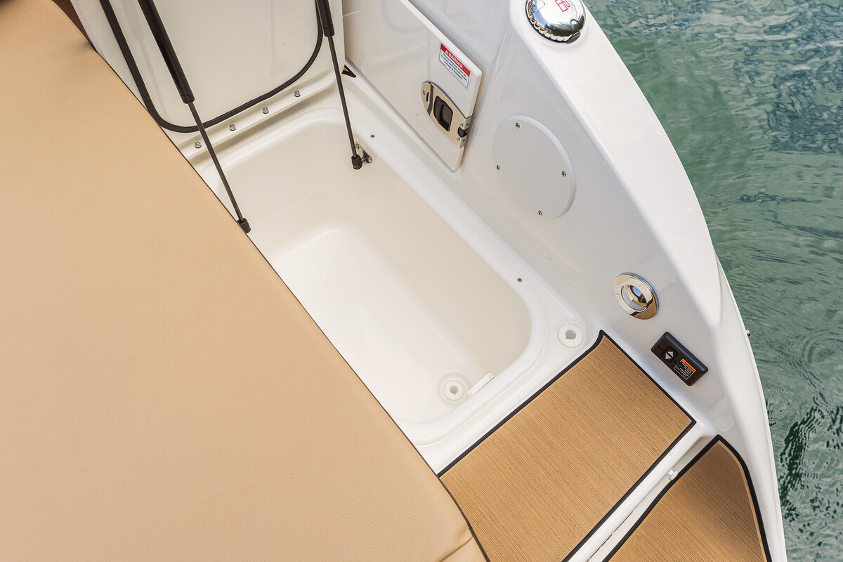 foto: 5 Sea Ray SDX 250 Surf