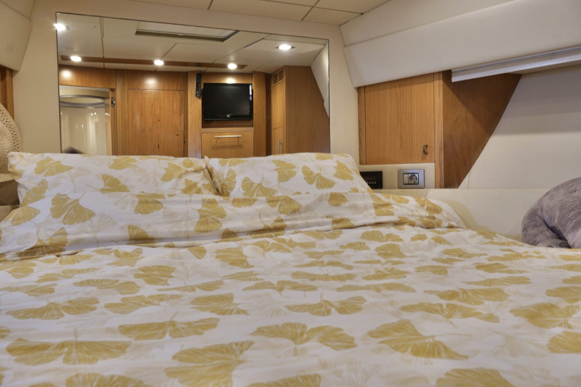 foto: 20 Rodman Rodman 44 Muse IPS