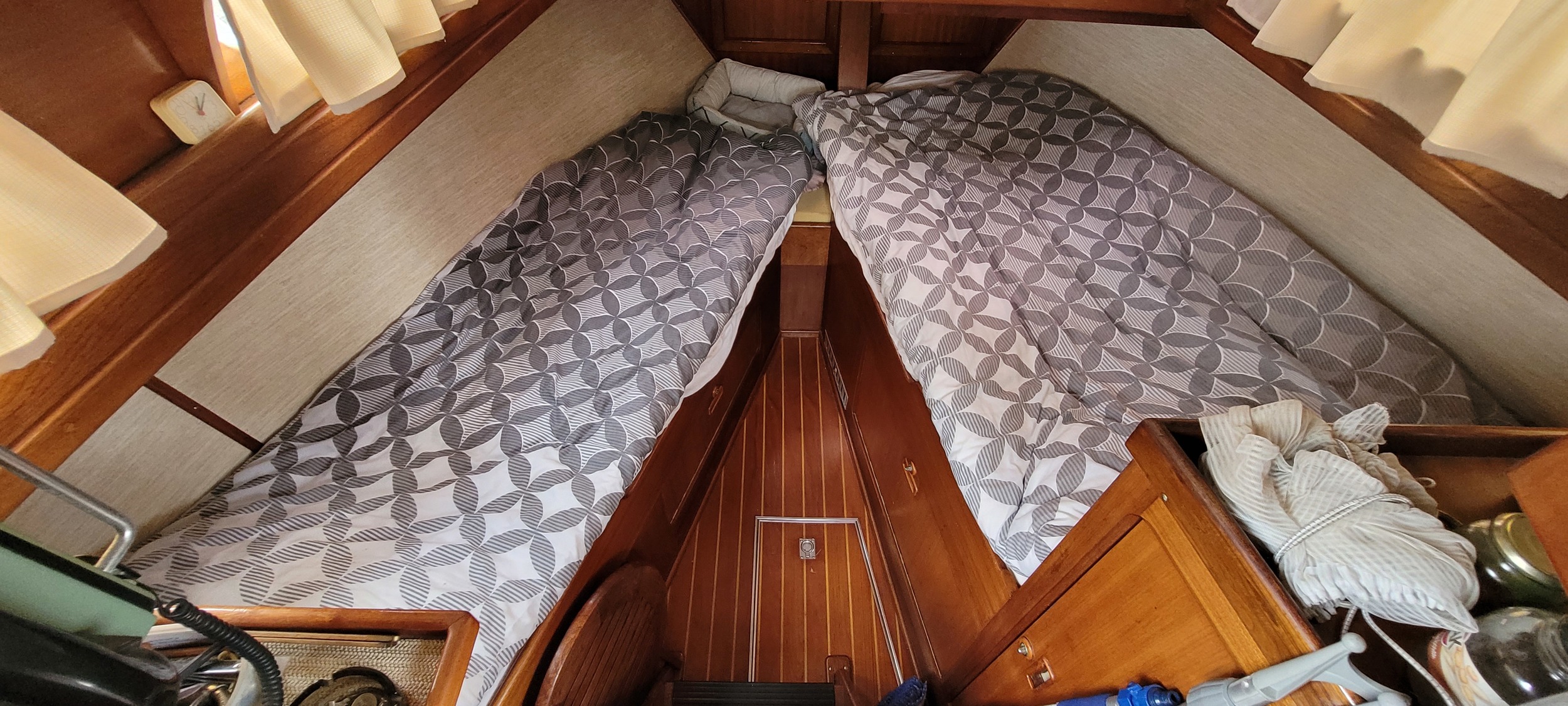 foto: 10 Vennekes Korall 50/50