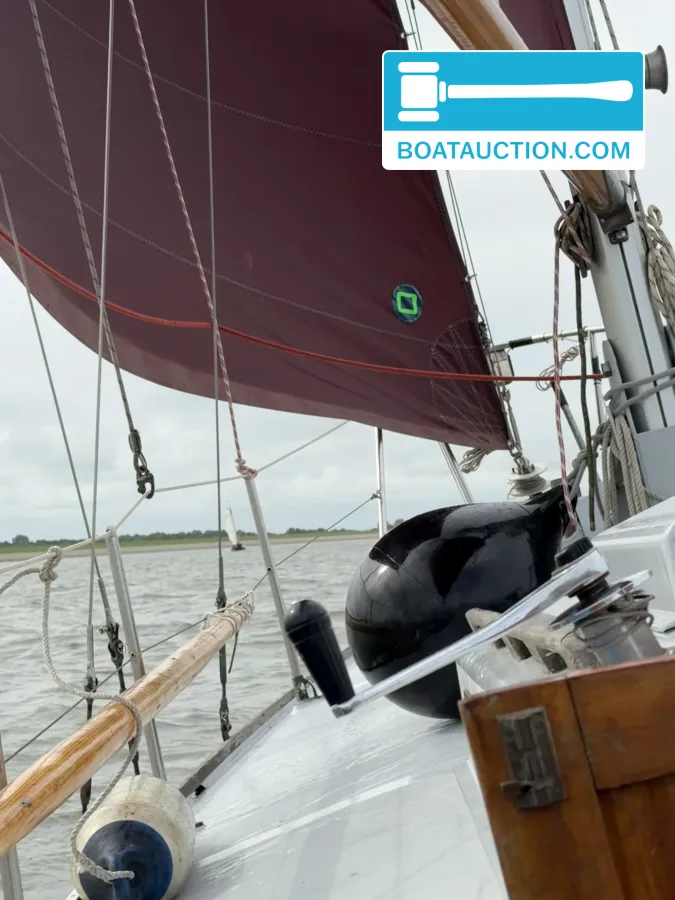 foto: 7 Rossiter Pintail 27