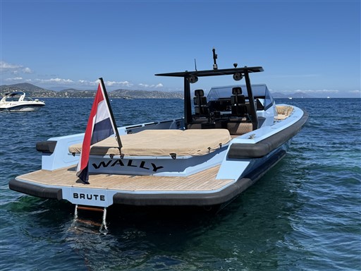 foto: 6 Wally Tender 45