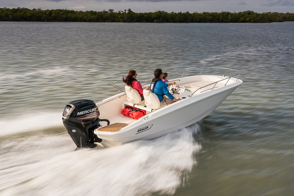 foto: 6 Boston Whaler 160 Super Sport