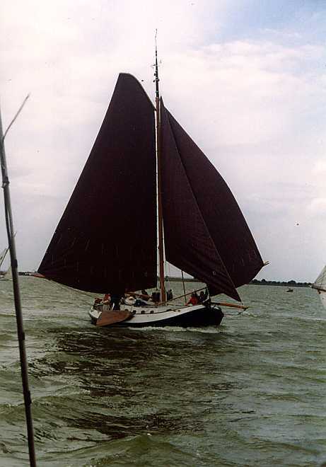 foto: 5 Blom Lemsteraak 12.10 Roefaak