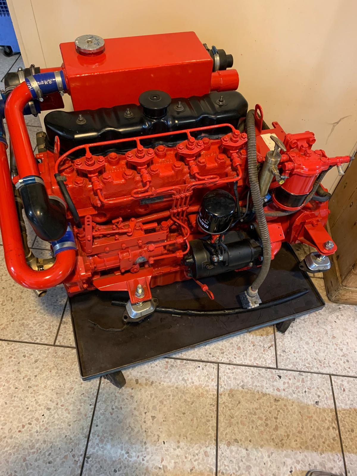 foto: 5 Vollenhovense Bol 9.75