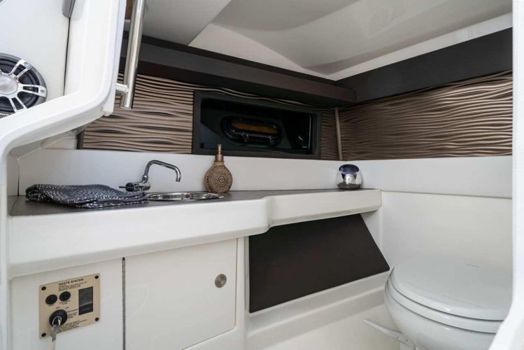 foto: 12 Sea Ray SLX 310