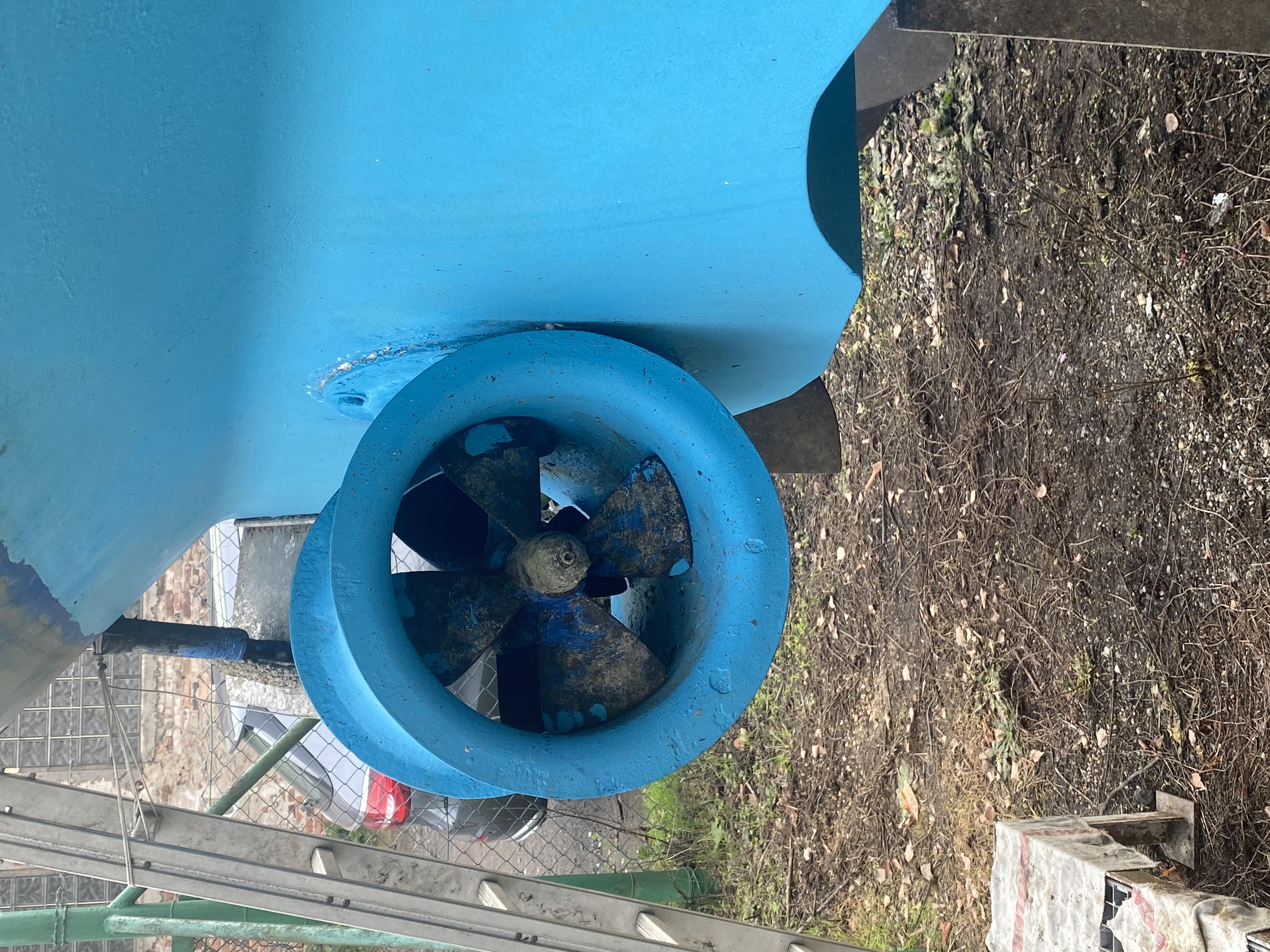 foto: 14 Princess  440