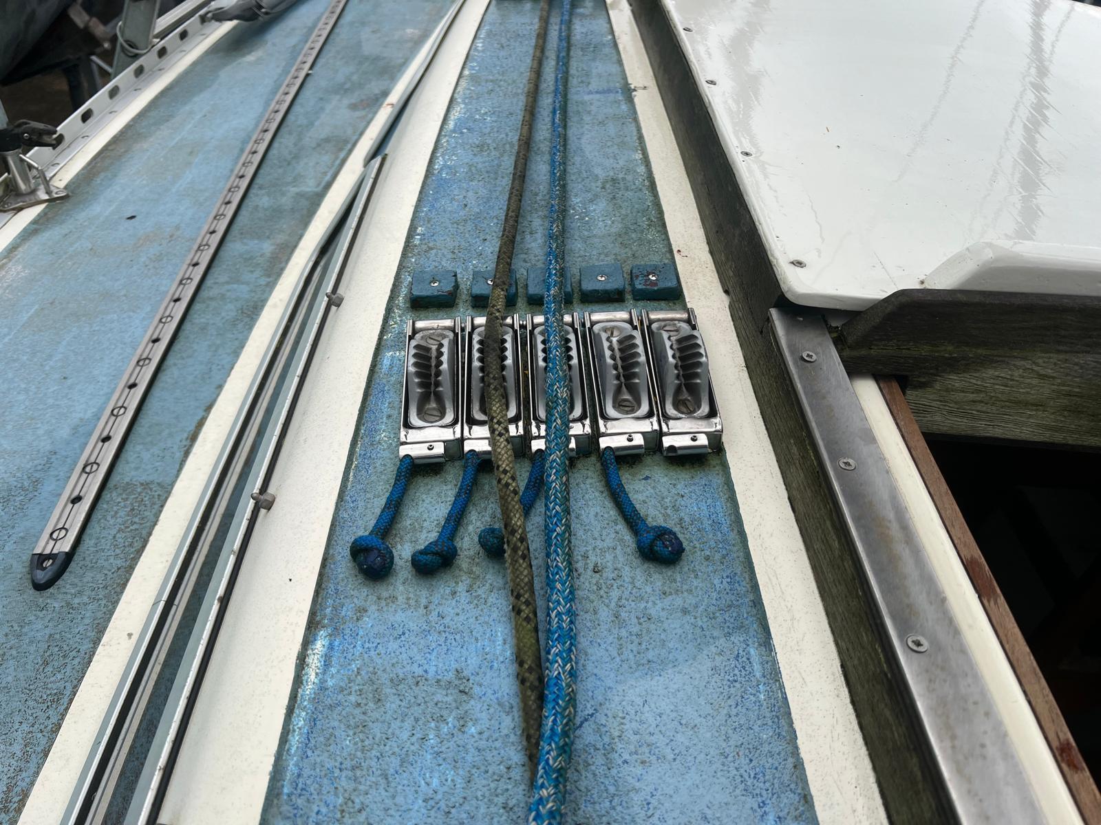 foto: 5 Fly 34 Mosquito 104