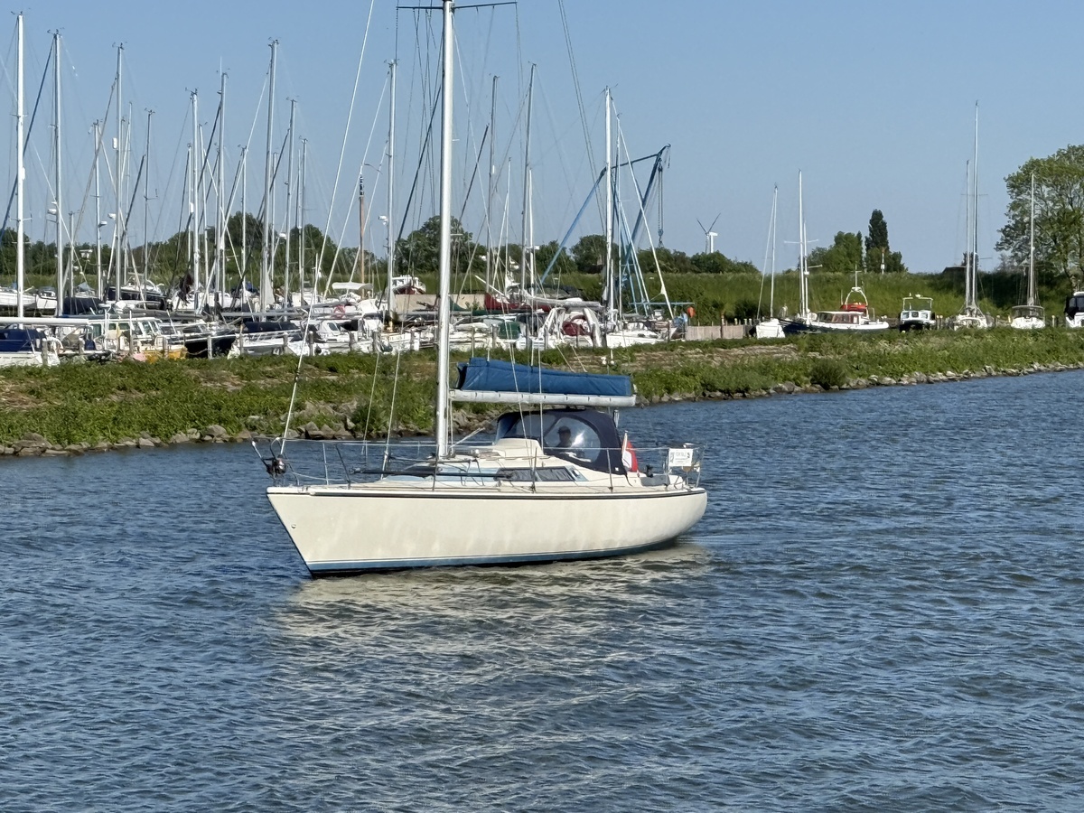 foto: 16 Dehler Optima 101