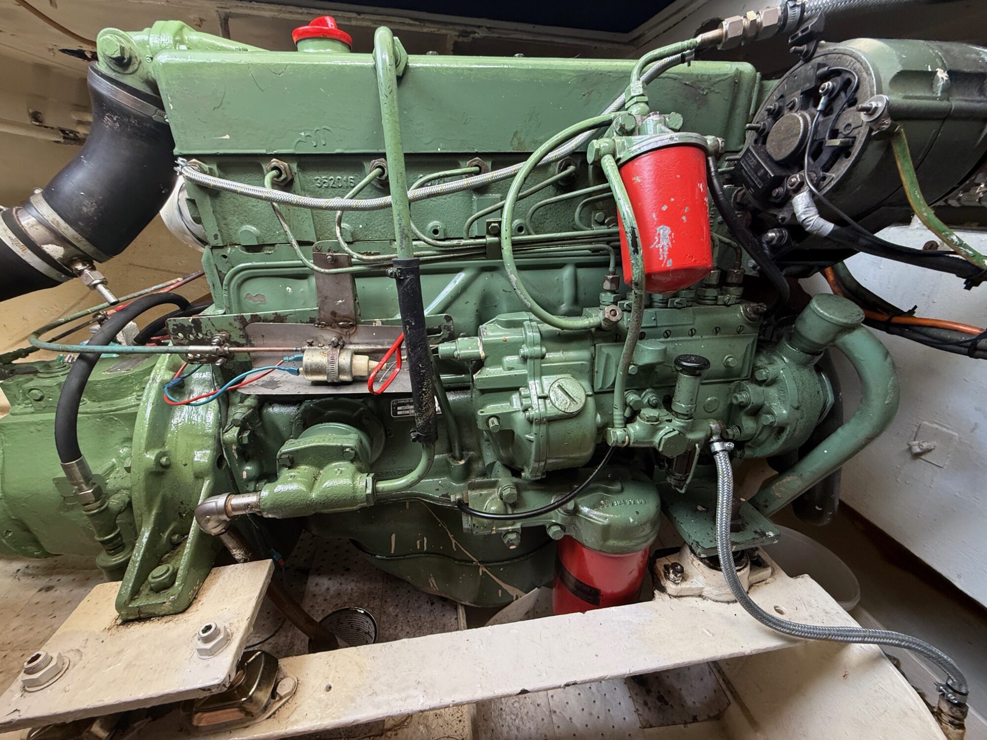 foto: 6 Damen Damen Vlet 12.00 OK