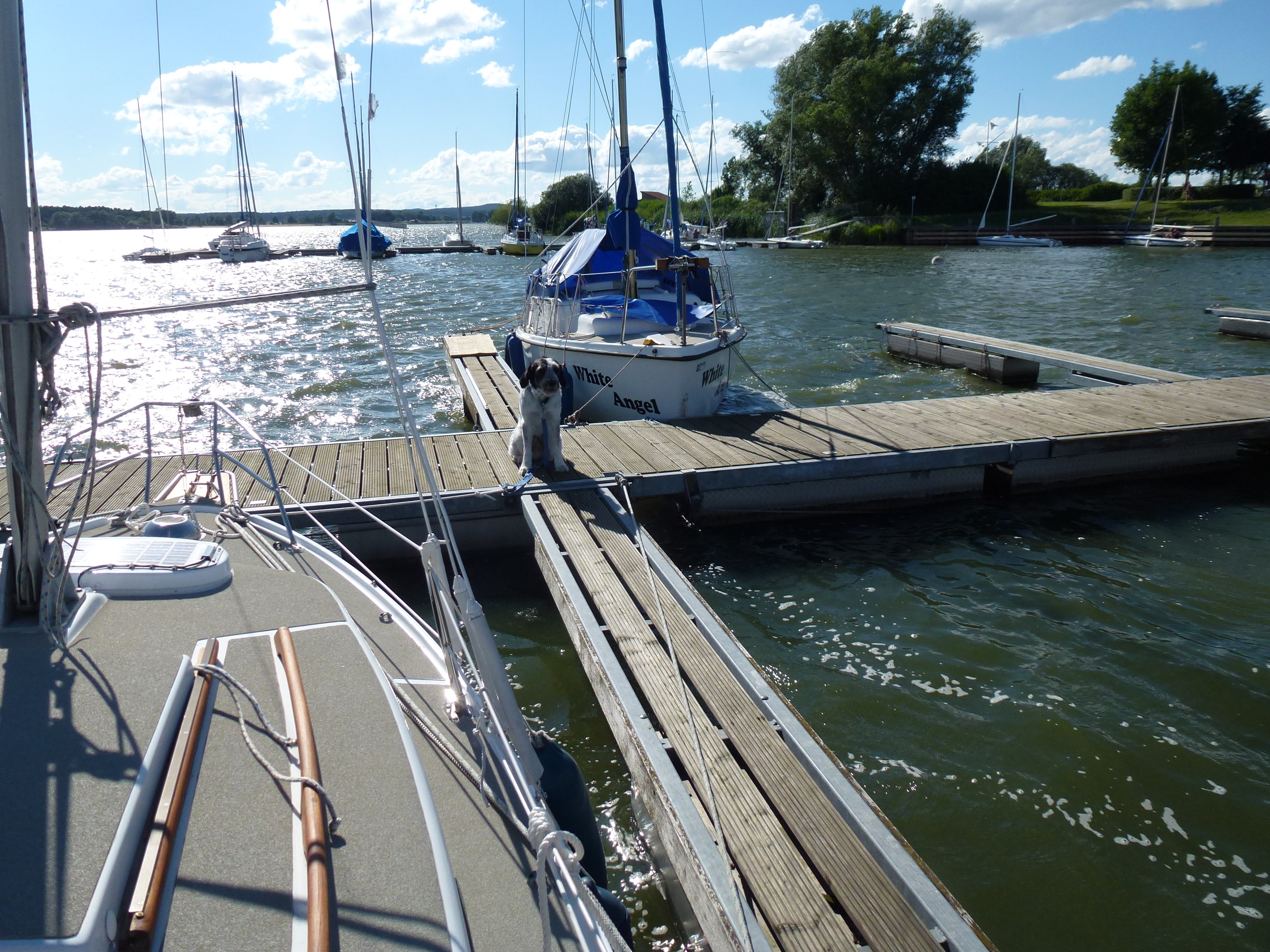 foto: 8 Neptun 212 S