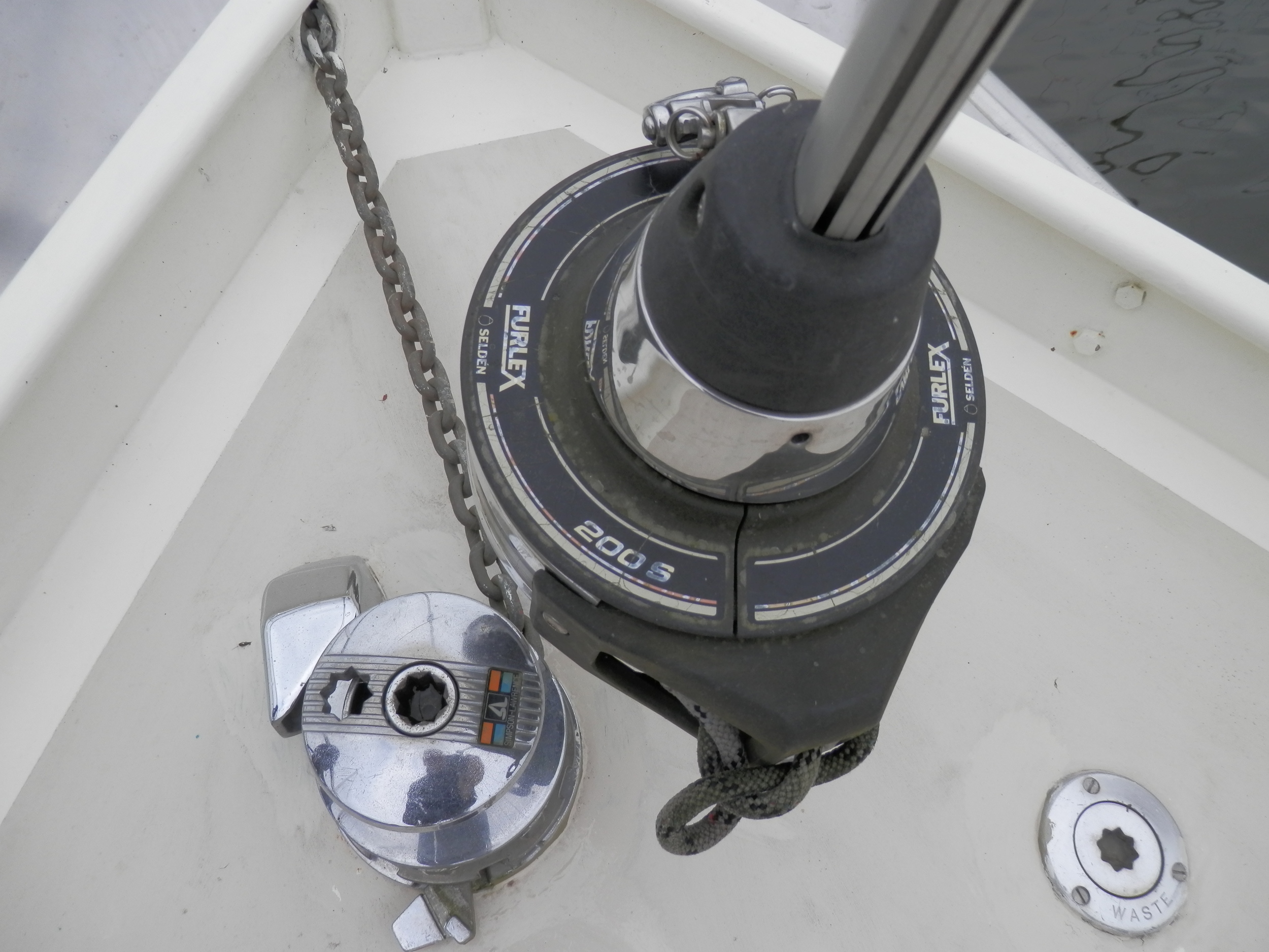 foto: 9 Danish Rose 31