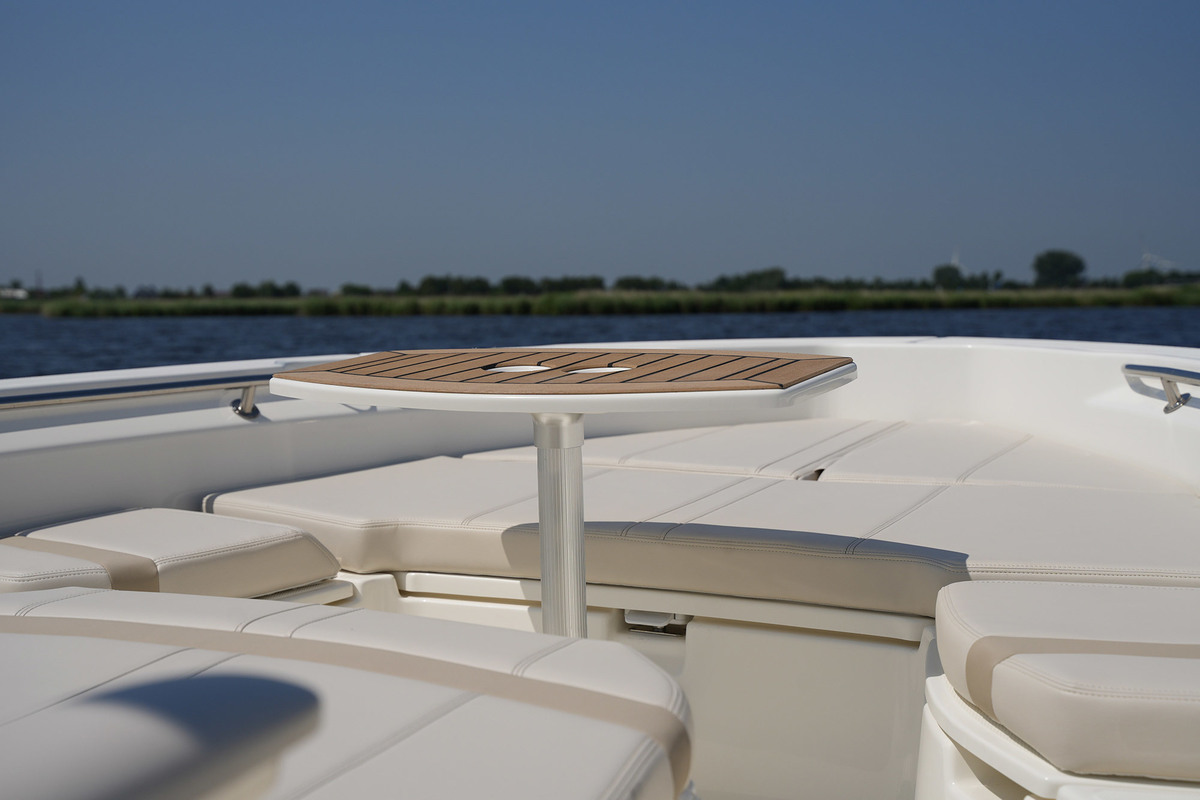 foto: 7 Boston Whaler 250 Dauntless