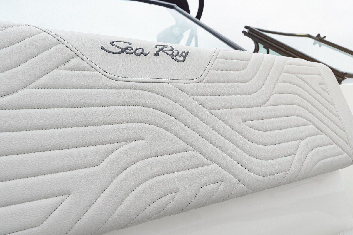foto: 11 Sea Ray SDX 270 Surf