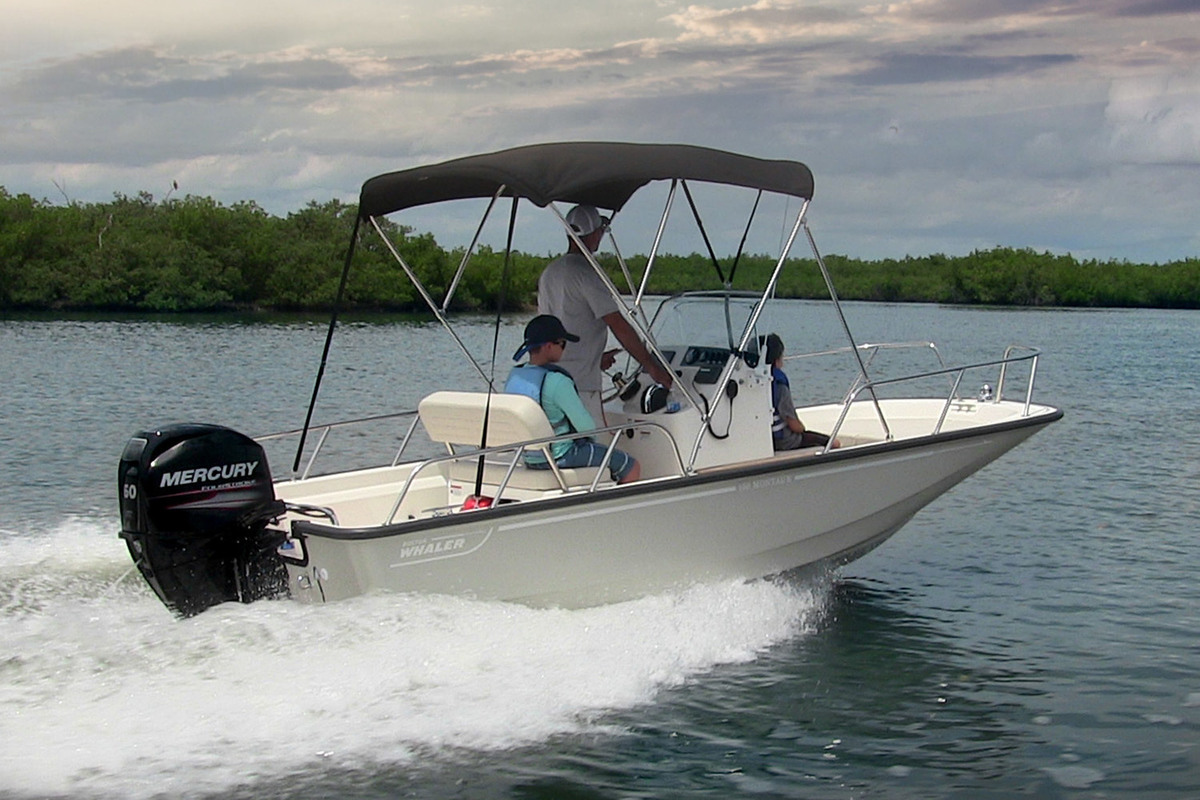 foto: 6 Boston Whaler 150 Montauk
