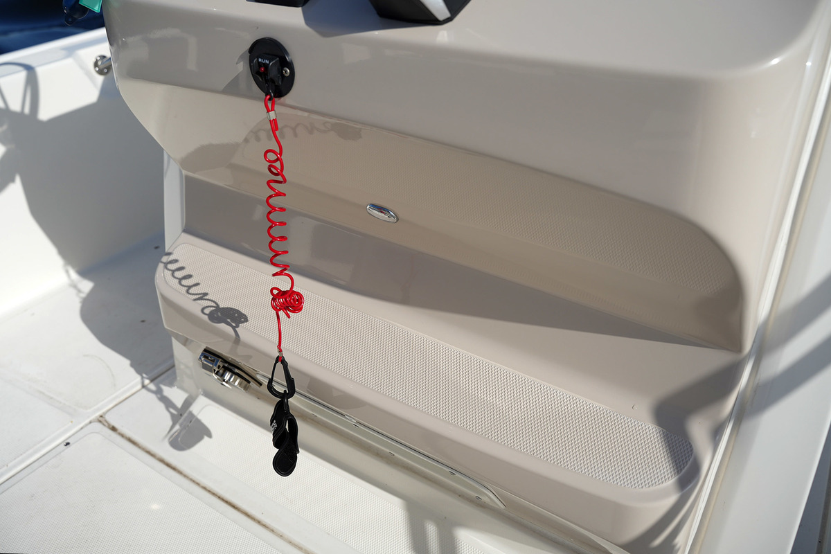 foto: 19 Boston Whaler 210 Montauk