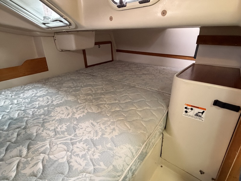 foto: 7 Catalina 320