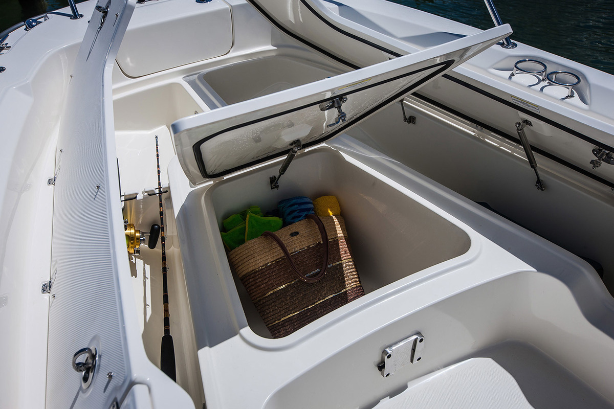 foto: 6 Boston Whaler 250 Dauntless