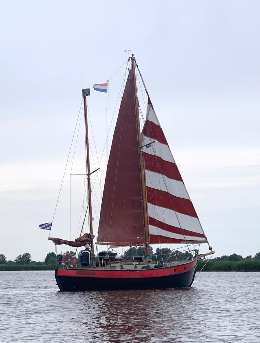 foto: 8 Danish Rose 31