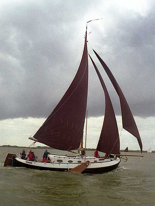 foto: 7 Blom Lemsteraak 12.10 Roefaak