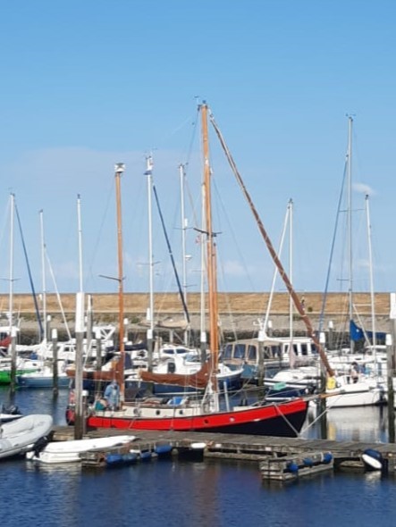 foto: 10 Danish Rose 31