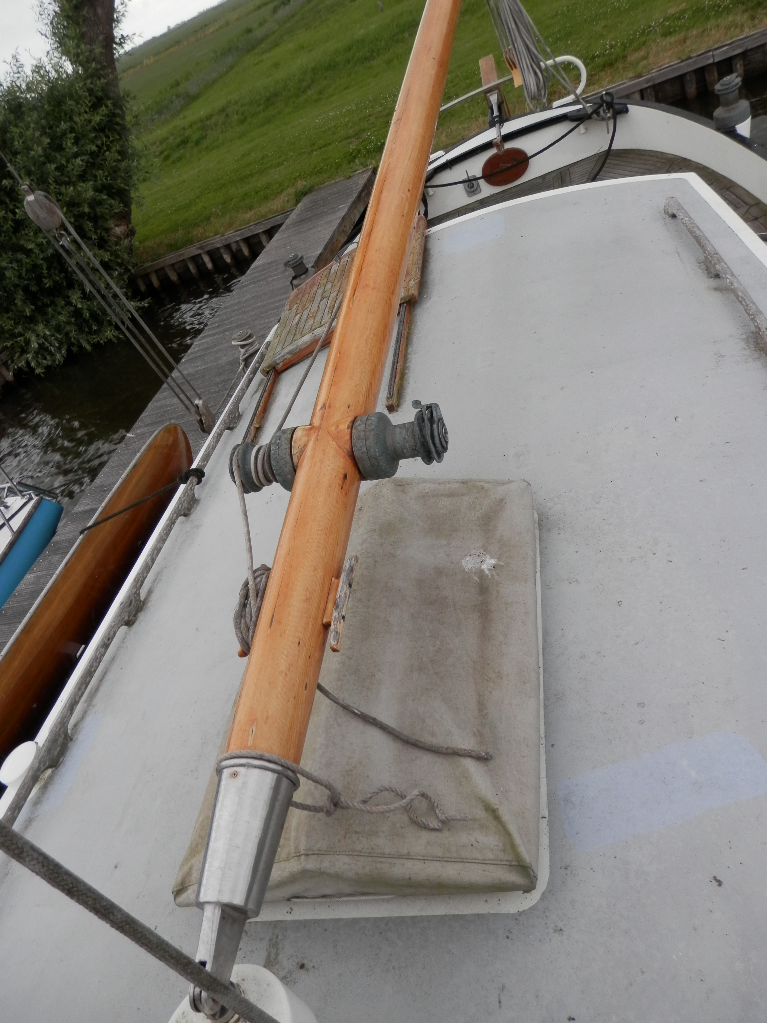 foto: 6 Blom Lemsteraak 12.10 Roefaak