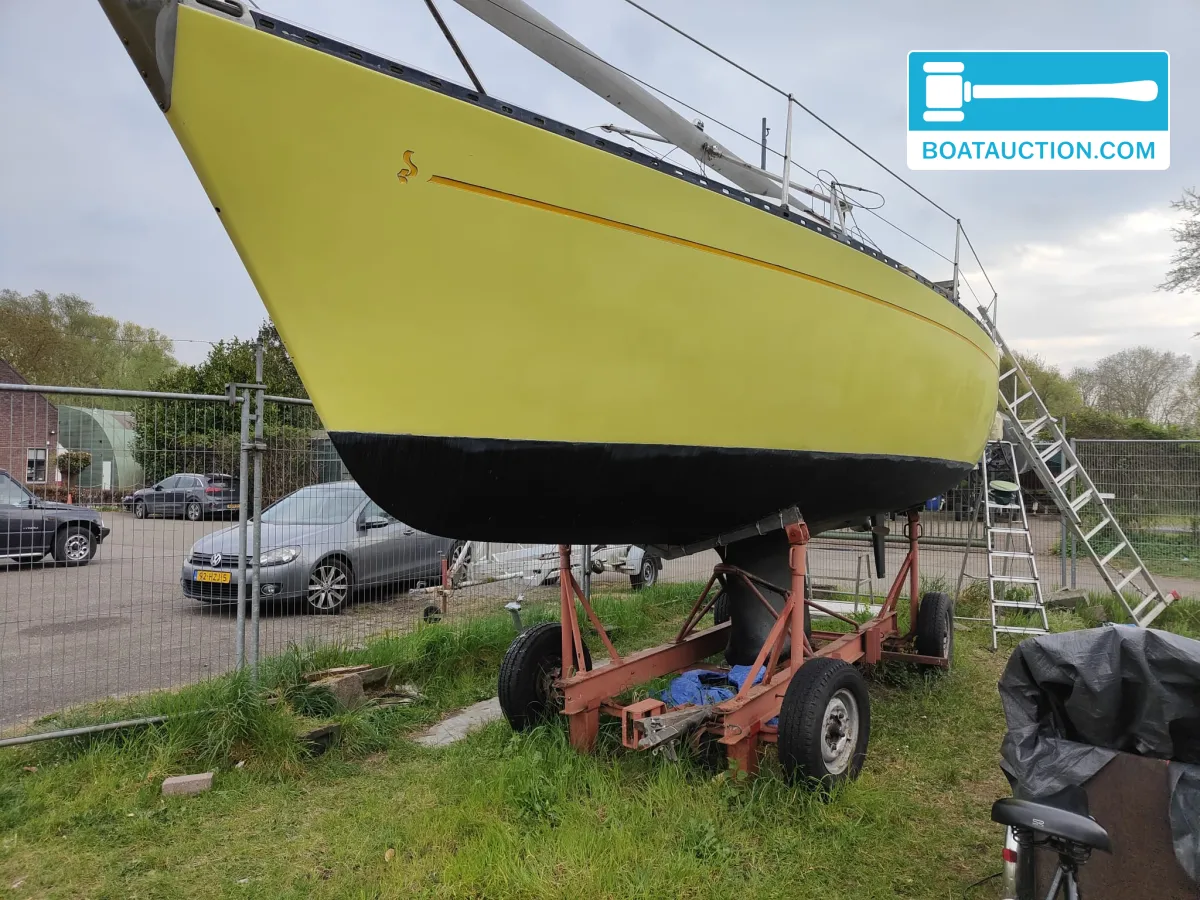 foto: 5 Sturgeon 28