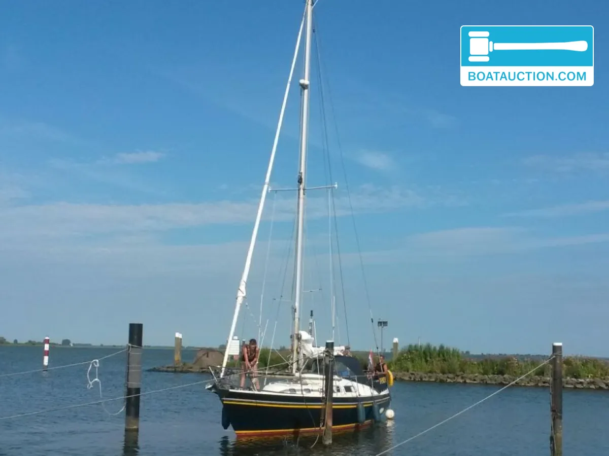 foto: 5 Contest 31 ft