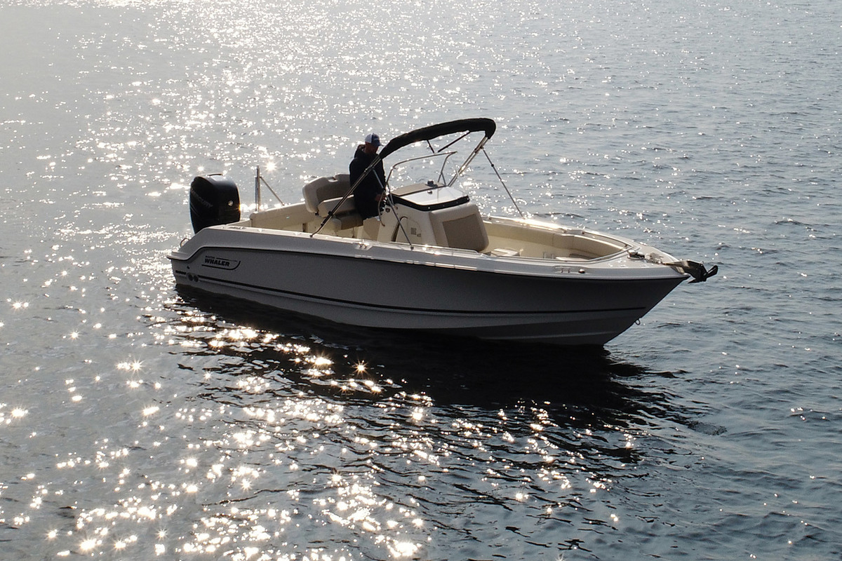 foto: 5 Boston Whaler 230 Outrage