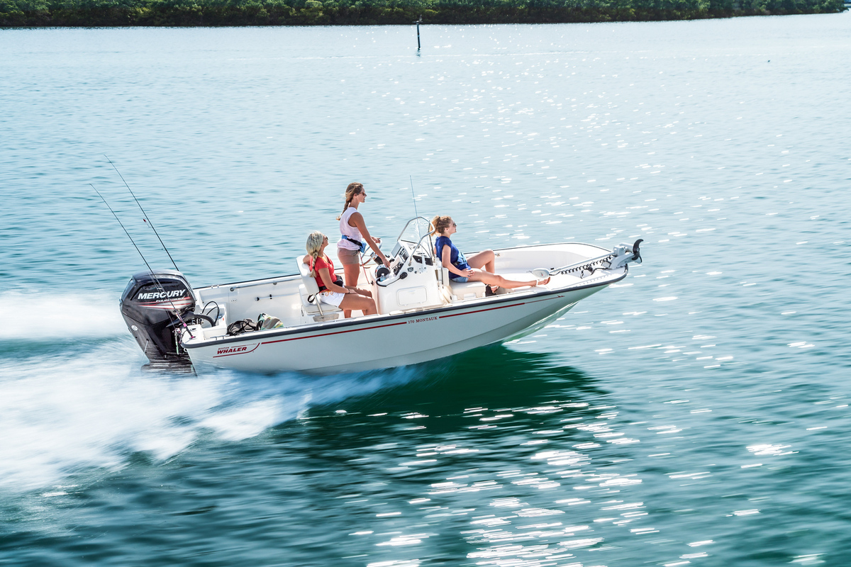 foto: 6 Boston Whaler 170 Montauk
