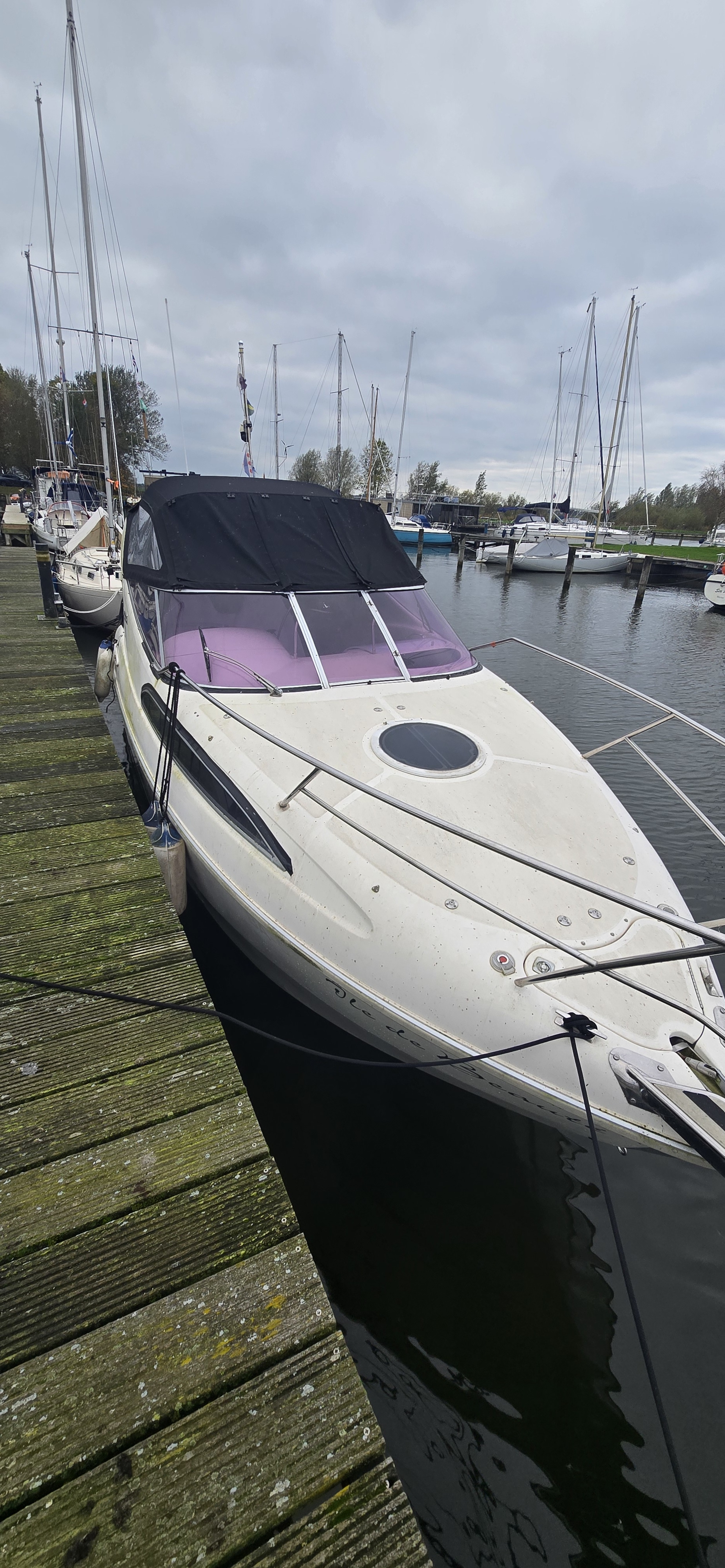 foto: 13 Gobbi 245 Cabin